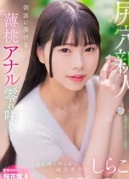 shirako