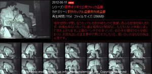限界ギリギリ公衆ファック盗撮 1