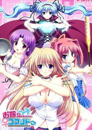 お嫁さん候補があらわれた！コマンドは？ （DVDPG）