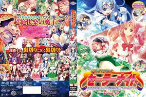 学園戦士セーラーナイト〜正義のヒロイン完全征服マニュアル Vol2 （DVDPG）