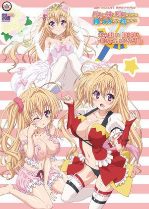 (抱き枕カバー付き)バカな妹を利口にするのは俺の××だけな件について コスプレ爛漫!! 御津井 芭華◆ 一番好きなのは、お兄ちゃん◆ 編