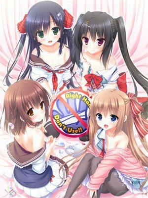 お兄ちゃん、右手の使用を禁止します!(DVDPG)