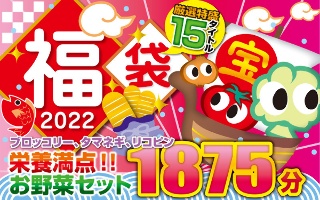 【福袋】福袋ブロッコリー、タマネギ、リコピン栄養満点！！お野菜セット
