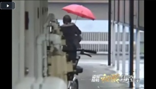 美女宅専門!下着鑑定団 2