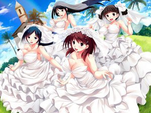 はにつまHs 〜アフターウェディング〜(DVDPG)
