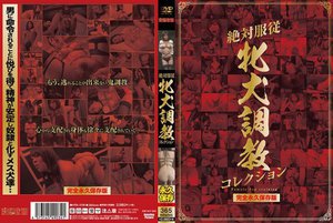 絶対服従牝犬調教コレクション