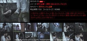 野外盗撮!濃厚に絡み合うカップルたち 1