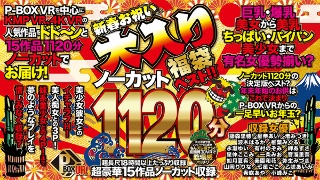 【VR福袋】P-BOX VR 新春お祝い大入りノーカット1120分福袋ベスト!!