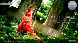 Model Collection select...78 エレガンス