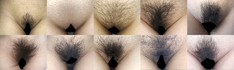 300人のまん毛 第2集:イメージ画像