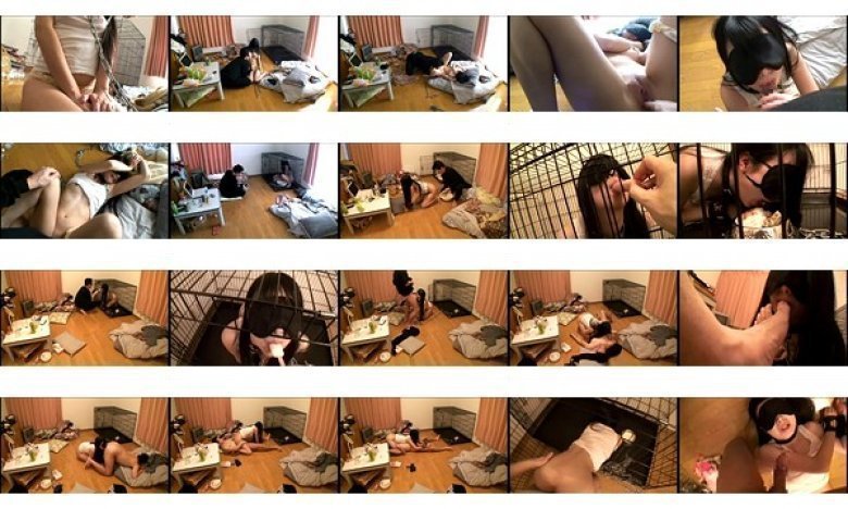 90日間監禁飼育され続けた少女の映像記録:イメージ画像