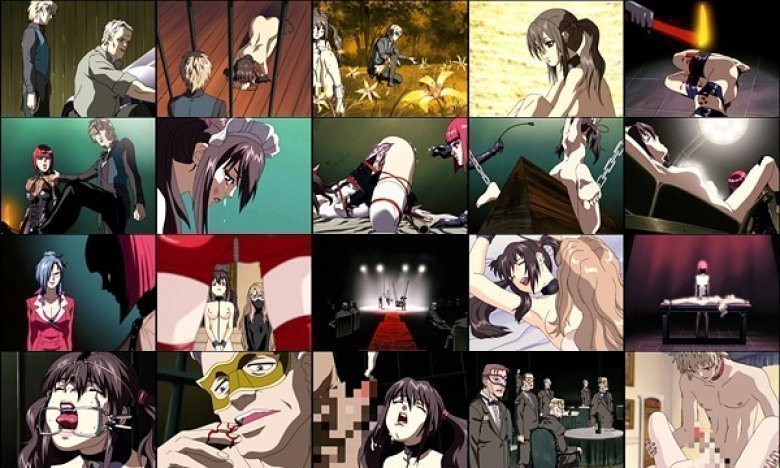 PIGEON BLOOD 2nd Training:イメージ画像