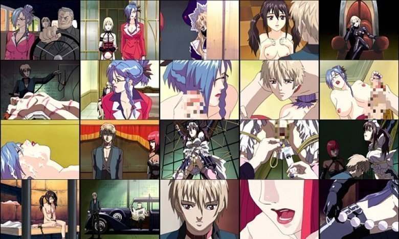 PIGEON BLOOD 1st Training:イメージ画像