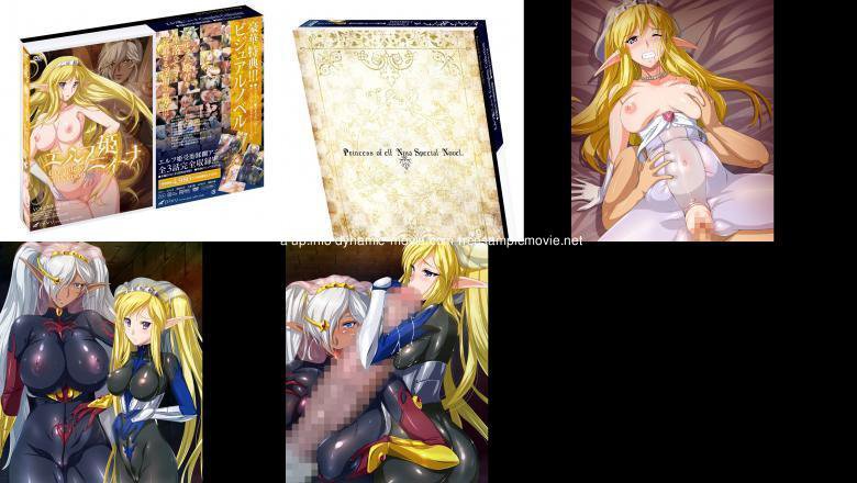 エルフ姫ニィーナ Complete Collection【特典:88ページB5書き下ろしビジュアルノベル】:イメージ画像