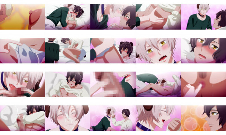 森のくまさん、冬眠中。【プレミアム版】(5):イメージ画像