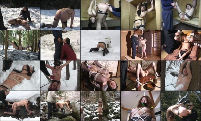 究極マゾ妻肉奴隷 野外雪責め針貫通:イメージ画像