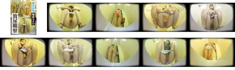 【VR】海水浴場和式トイレ放尿観察:イメージ画像