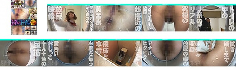 J系のトイレ:样本图像