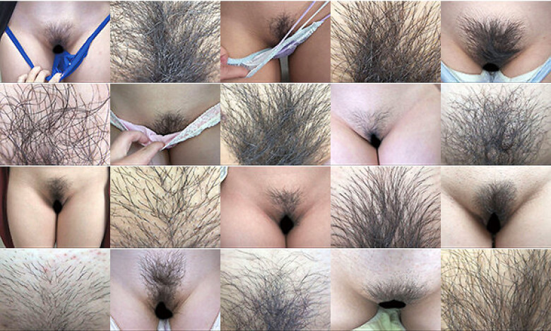 100人のまん毛 第8集:イメージ画像
