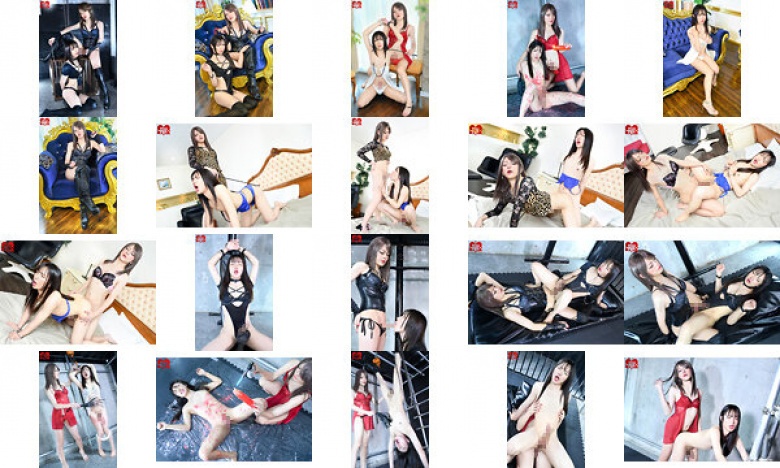 在打击世界中，是一个独一无二的女王:样本图像
