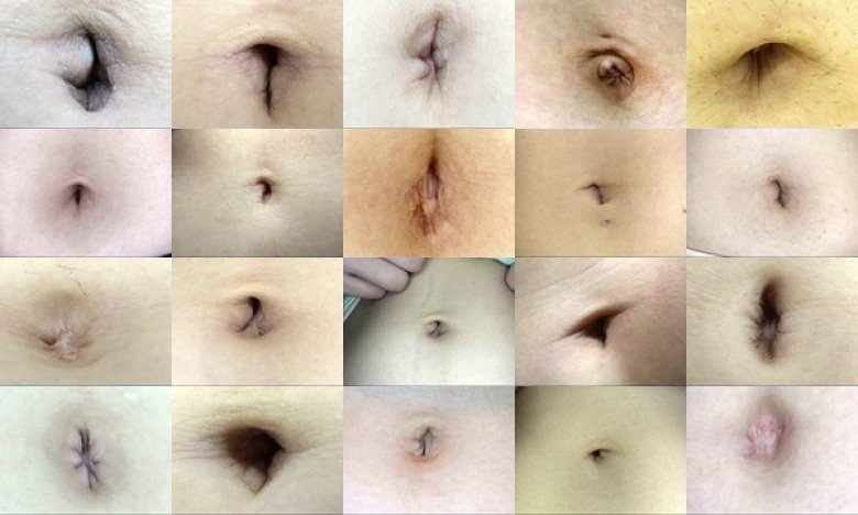 100人のへそ 第5集:イメージ画像