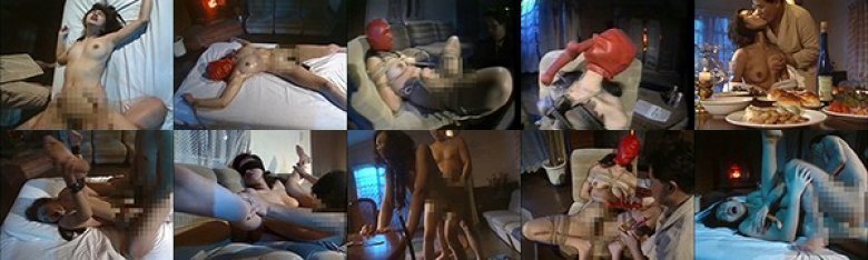 真夜中の隷嬢 白川麻耶:イメージ画像