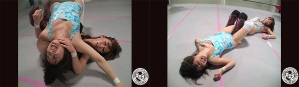 セクシー女優プロレス:イメージ画像