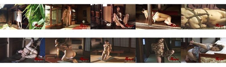 雪村春樹名作集 参:イメージ画像