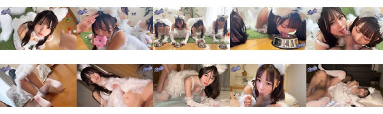 超サモエロカフェ!! オチ●ポジャーキー大好物なサモエドちゃんとモフパコ大乱交スペシャル!!:イメージ画像
