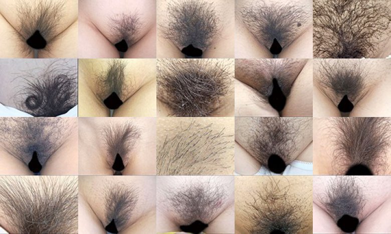 100人のまん毛 第6集:样本图像