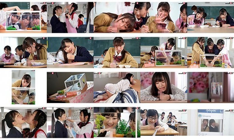 日常生活にある私たちのおちんちんペット:イメージ画像