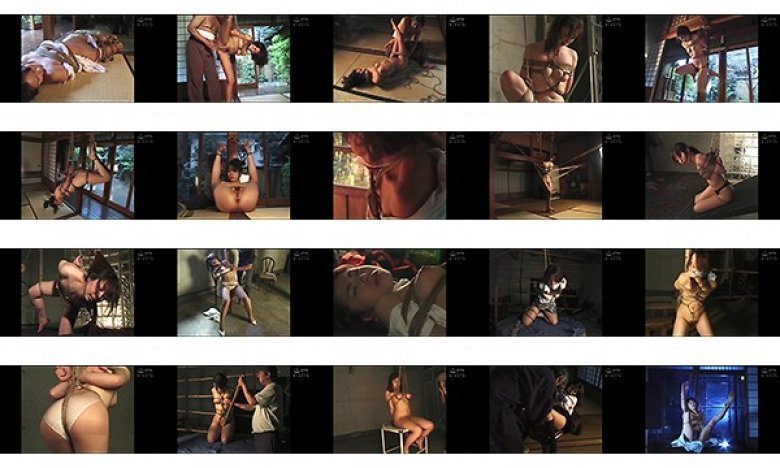 TRANS BODY BONDAGE 縄の追憶:イメージ画像