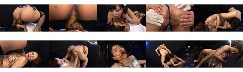 糞キャットファイト:样本图像
