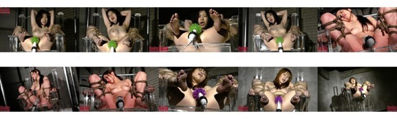 極逝コレクター 真 悪魔の無限快楽拷問椅子:イメージ画像