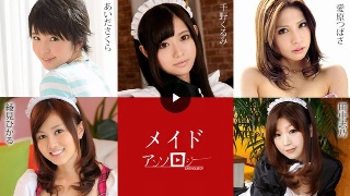 女佣选集(溢价)